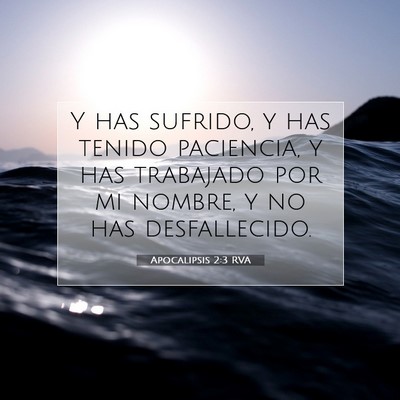 Picture 07 - Apocalipsis 2:3 RVA - Y has sufrido, y has tenido paciencia, y has - Bible Verse Picture