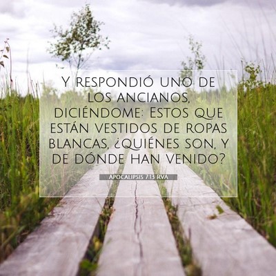 Picture 07 - Apocalipsis 7:13 RVA - Y respondió uno de los ancianos, diciéndome: - Bible Verse Picture