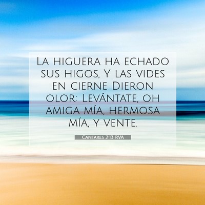 Picture 07 - Cantares 2:13 RVA - La higuera ha echado sus higos, Y las vides en - Bible Verse Picture