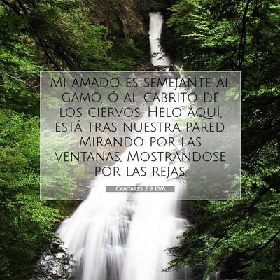 Picture 07 - Cantares 2:9 RVA - Mi amado es semejante al gamo, ó al cabrito de - Bible Verse Picture
