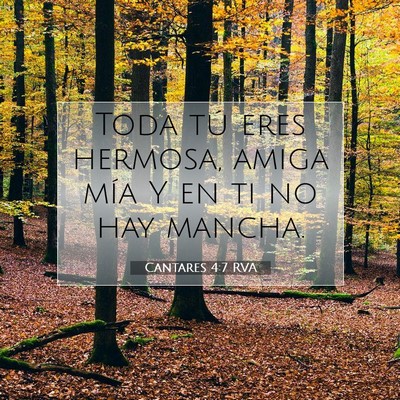 Picture 07 - Cantares 4:7 RVA - Toda tú eres hermosa, amiga mía Y en ti no hay - Bible Verse Picture