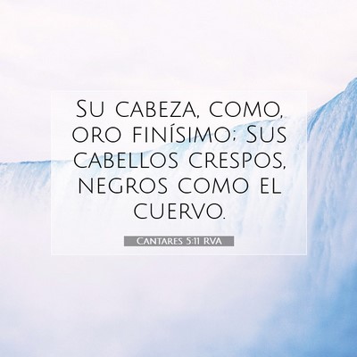 Picture 07 - Cantares 5:11 RVA - Su cabeza, como, oro finísimo; Sus cabellos - Bible Verse Picture