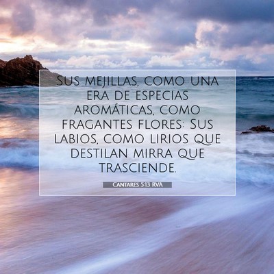 Picture 07 - Cantares 5:13 RVA - Sus mejillas, como una era de especias - Bible Verse Picture