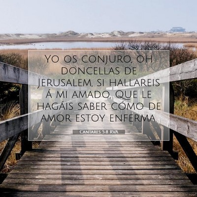 Picture 07 - Cantares 5:8 RVA - Yo os conjuro, oh doncellas de Jerusalem, si - Bible Verse Picture