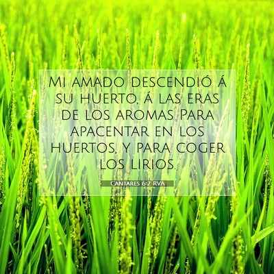 Picture 07 - Cantares 6:2 RVA - Mi amado descendió á su huerto, á las eras de - Bible Verse Picture