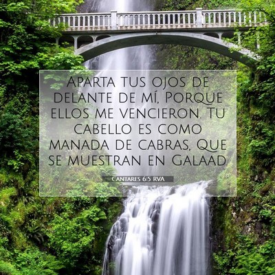 Picture 07 - Cantares 6:5 RVA - Aparta tus ojos de delante de mí, Porque ellos - Bible Verse Picture
