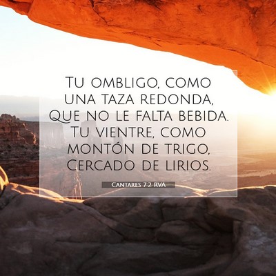 Picture 07 - Cantares 7:2 RVA - Tu ombligo, como una taza redonda, Que no le - Bible Verse Picture