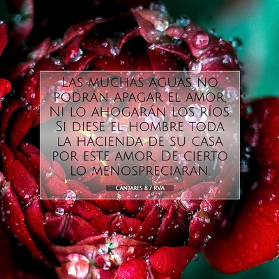 Picture 07 - Cantares 8:7 RVA - Las muchas aguas no podrán apagar el amor, Ni lo - Bible Verse Picture
