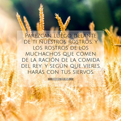 Picture 07 - Daniel 1:13 RVA - Parezcan luego delante de ti nuestros rostros, y - Bible Verse Picture