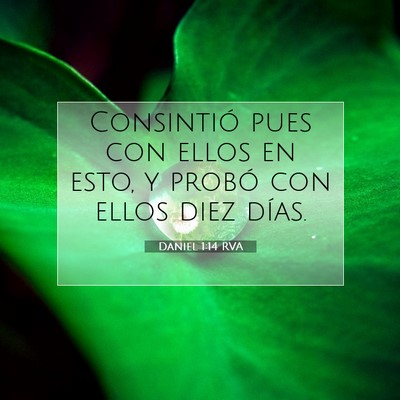 Picture 07 - Daniel 1:14 RVA - Consintió pues con ellos en esto, y probó con - Bible Verse Picture