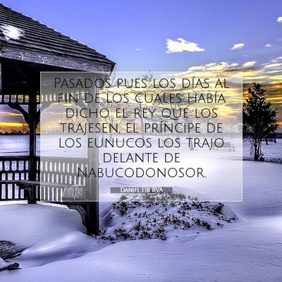 Picture 07 - Daniel 1:18 RVA - Pasados pues los días al fin de los cuales - Bible Verse Picture