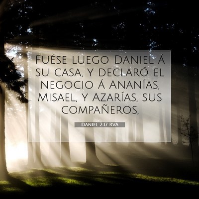 Picture 07 - Daniel 2:17 RVA - Fuése luego Daniel á su casa, y declaró el - Bible Verse Picture