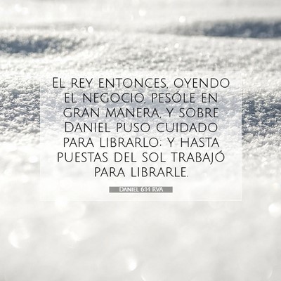 Picture 07 - Daniel 6:14 RVA - El rey entonces, oyendo el negocio, pesóle en - Bible Verse Picture