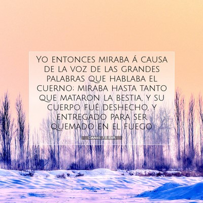 Picture 07 - Daniel 7:11 RVA - Yo entonces miraba á causa de la voz de las - Bible Verse Picture