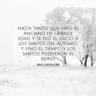Picture 07 - Daniel 7:22 RVA - Hasta tanto que vino el Anciano de grande edad, y - Bible Verse Picture