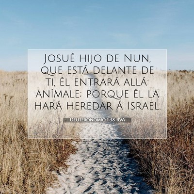 Picture 07 - Deuteronomio 1:38 RVA - Josué hijo de Nun, que está delante de ti, él - Bible Verse Picture