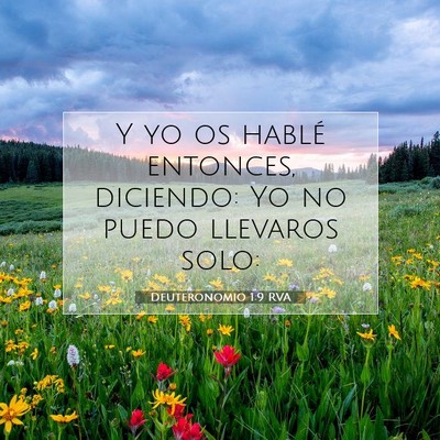 Picture 07 - Deuteronomio 1:9 RVA - Y yo os hablé entonces, diciendo: Yo no puedo - Bible Verse Picture