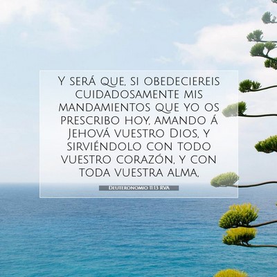 Picture 07 - Deuteronomio 11:13 RVA - Y será que, si obedeciereis cuidadosamente mis - Bible Verse Picture