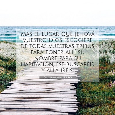 Picture 07 - Deuteronomio 12:5 RVA - Mas el lugar que Jehová vuestro Dios escogiere - Bible Verse Picture