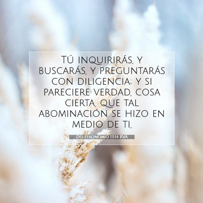 Picture 07 - Deuteronomio 13:14 RVA - Tú inquirirás, y buscarás, y preguntarás con - Bible Verse Picture