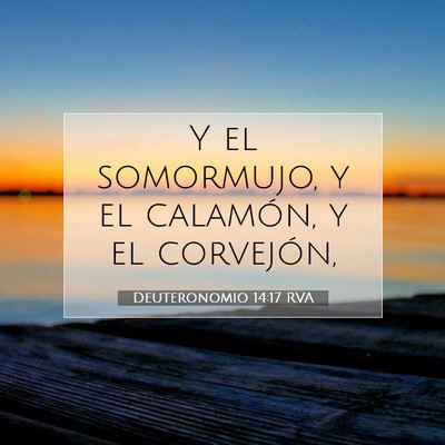 Picture 07 - Deuteronomio 14:17 RVA - Y el somormujo, y el calamón, y el - Bible Verse Picture