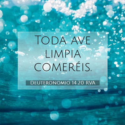 Picture 07 - Deuteronomio 14:20 RVA - Toda ave limpia - Bible Verse Picture