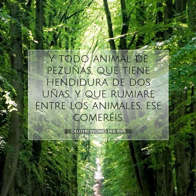 Picture 07 - Deuteronomio 14:6 RVA - Y todo animal de pezuñas, que tiene hendidura de - Bible Verse Picture