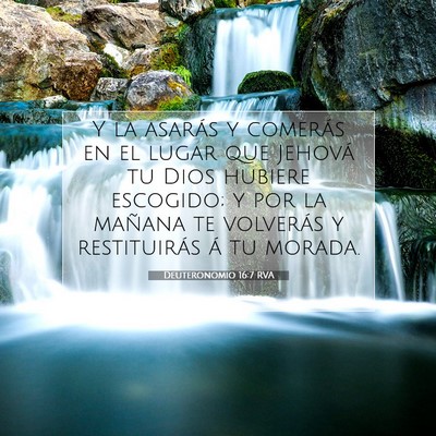 Picture 07 - Deuteronomio 16:7 RVA - Y la asarás y comerás en el lugar que Jehová - Bible Verse Picture