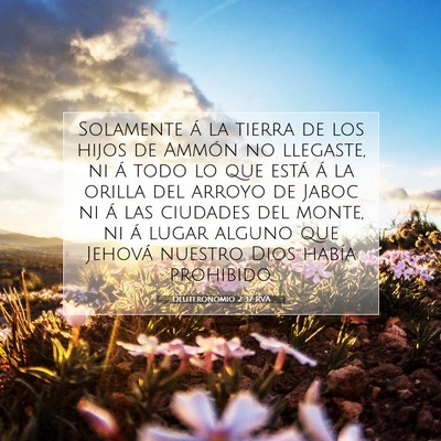 Picture 07 - Deuteronomio 2:37 RVA - Solamente á la tierra de los hijos de Ammón no - Bible Verse Picture
