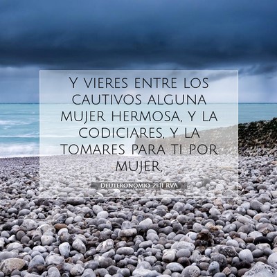 Picture 07 - Deuteronomio 21:11 RVA - Y vieres entre los cautivos alguna mujer hermosa, - Bible Verse Picture
