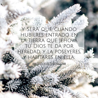 Picture 07 - Deuteronomio 26:1 RVA - Y SERA que, cuando hubieres entrado en la tierra - Bible Verse Picture