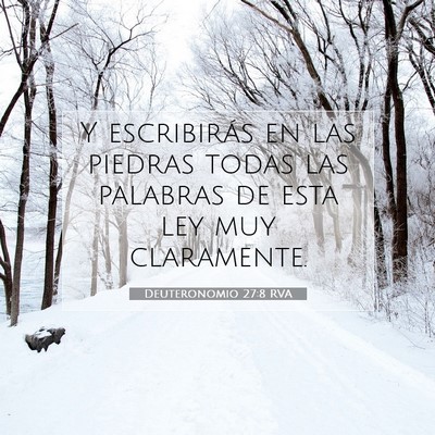Picture 07 - Deuteronomio 27:8 RVA - Y escribirás en las piedras todas las palabras - Bible Verse Picture