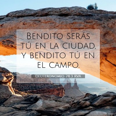 Picture 07 - Deuteronomio 28:3 RVA - Bendito serás tú en la ciudad, y bendito tú en - Bible Verse Picture