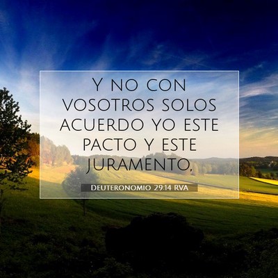 Picture 07 - Deuteronomio 29:14 RVA - Y no con vosotros solos acuerdo yo este pacto y - Bible Verse Picture