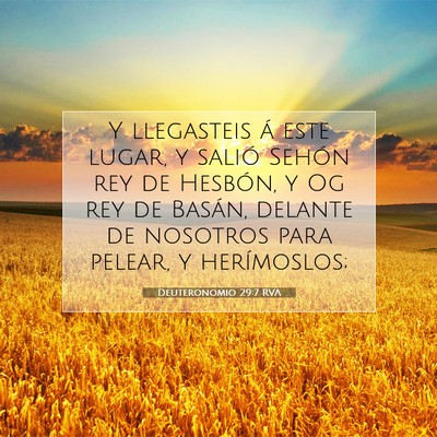 Picture 07 - Deuteronomio 29:7 RVA - Y llegasteis á este lugar, y salió Sehón rey - Bible Verse Picture