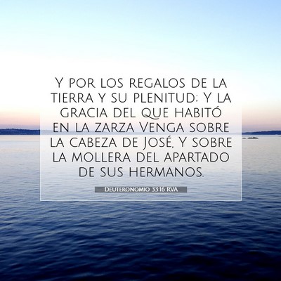 Picture 07 - Deuteronomio 33:16 RVA - Y por los regalos de la tierra y su plenitud; Y - Bible Verse Picture