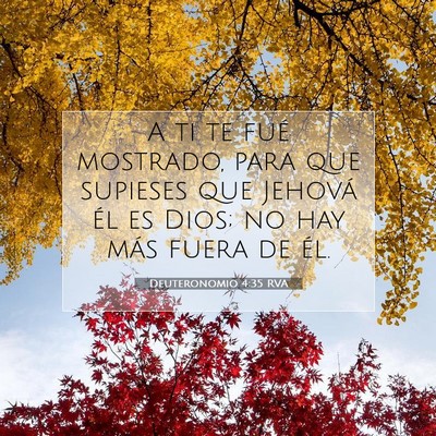 Picture 07 - Deuteronomio 4:35 RVA - A ti te fué mostrado, para que supieses que - Bible Verse Picture