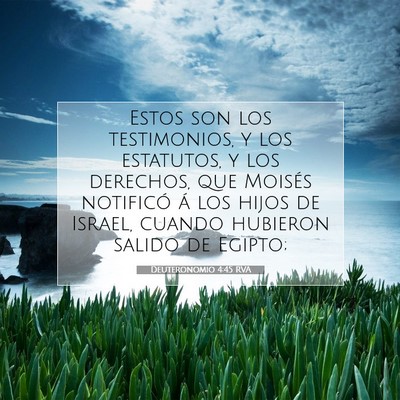 Picture 07 - Deuteronomio 4:45 RVA - Estos son los testimonios, y los estatutos, y los - Bible Verse Picture