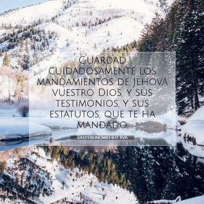 Picture 07 - Deuteronomio 6:17 RVA - Guardad cuidadosamente los mandamientos de - Bible Verse Picture