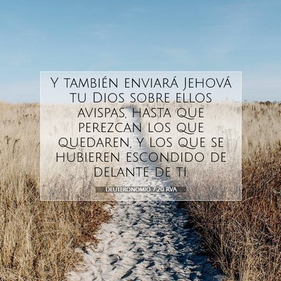 Picture 07 - Deuteronomio 7:20 RVA - Y también enviará Jehová tu Dios sobre ellos - Bible Verse Picture