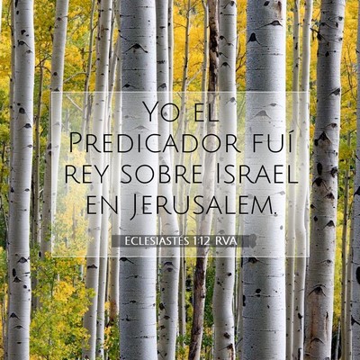 Picture 07 - Eclesiastés 1:12 RVA - Yo el Predicador fuí rey sobre Israel en - Bible Verse Picture