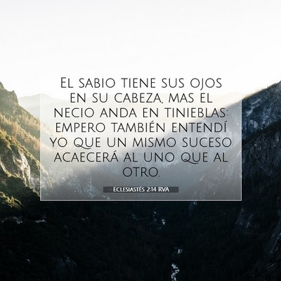 Picture 07 - Eclesiastés 2:14 RVA - El sabio tiene sus ojos en su cabeza, mas el - Bible Verse Picture