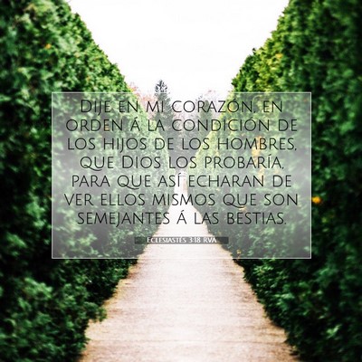 Picture 07 - Eclesiastés 3:18 RVA - Dije en mi corazón, en orden á la condición de - Bible Verse Picture