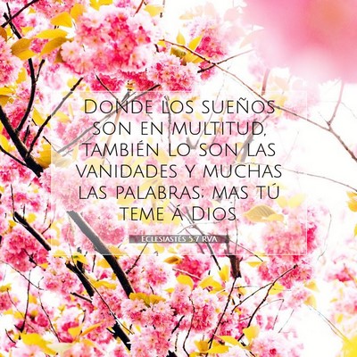 Picture 07 - Eclesiastés 5:7 RVA - Donde los sueños son en multitud, también lo - Bible Verse Picture