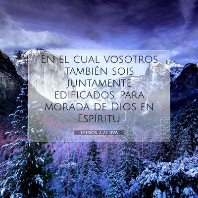 Picture 07 - Efesios 2:22 RVA - En el cual vosotros también sois juntamente - Bible Verse Picture