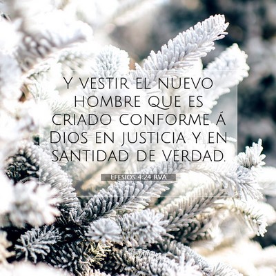 Picture 07 - Efesios 4:24 RVA - Y vestir el nuevo hombre que es criado conforme - Bible Verse Picture