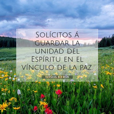 Picture 07 - Efesios 4:3 RVA - Solícitos á guardar la unidad del Espíritu en - Bible Verse Picture