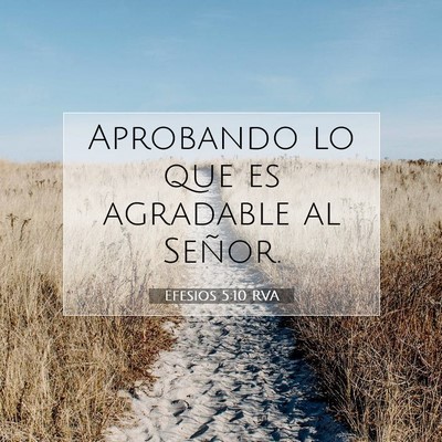 Picture 07 - Efesios 5:10 RVA - Aprobando lo que es agradable al - Bible Verse Picture