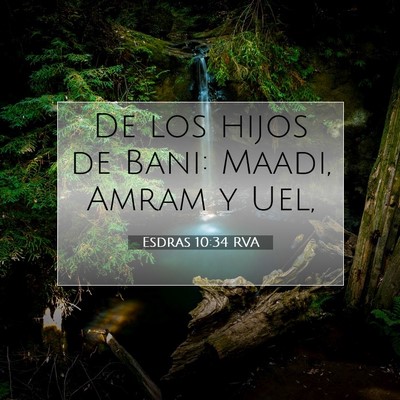 Picture 07 - Esdras 10:34 RVA - De los hijos de Bani: Maadi, Amram y - Bible Verse Picture