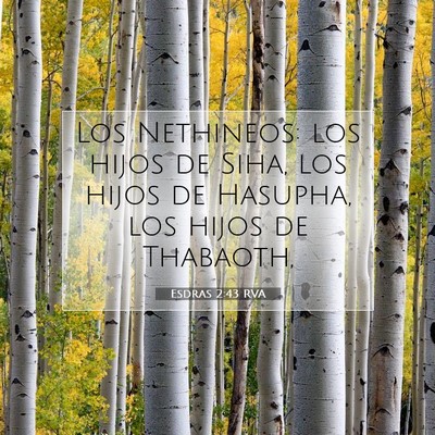 Picture 07 - Esdras 2:43 RVA - Los Nethineos: los hijos de Siha, los hijos de - Bible Verse Picture